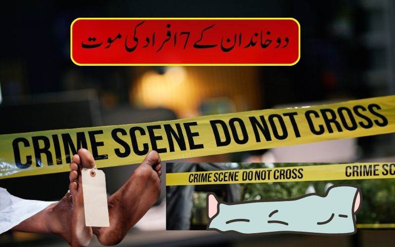 آندھرا پردیش میں گھریلو مسائل  سے دو خاندانوں کے سات افراد ہلاک 